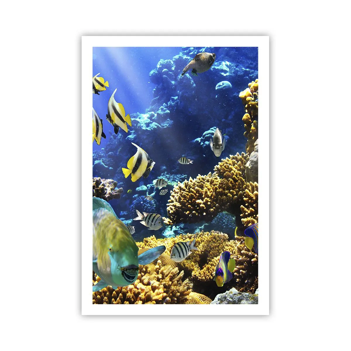 Pôster - Tráfego intenso no percurso de férias - 61x91 cm