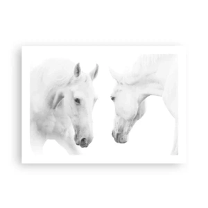 Pôster - Será amizade...? - 70x50 cm