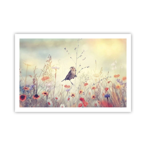 Pôster - Retrato de um pássaro com um prado no fundo - 91x61 cm