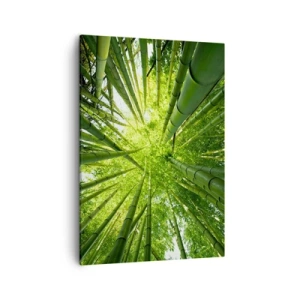 Quadro em tela - Em um bosque de bambu - 50x70 cm