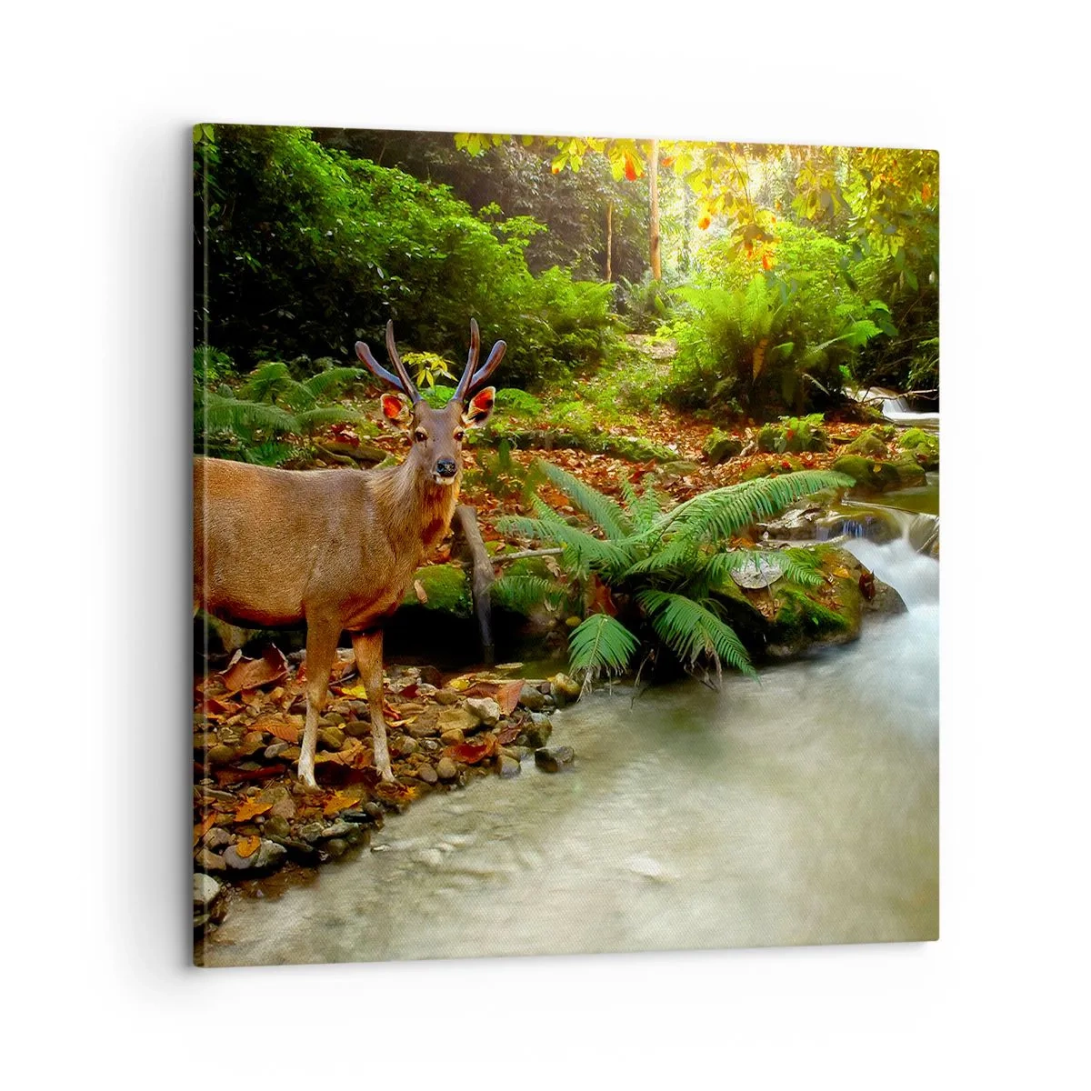 Quadro em tela - Bem-vindo ao meu mundo - 60x60 cm