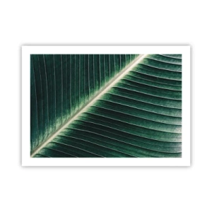 Pôster - O ritmo da natureza - 70x50 cm