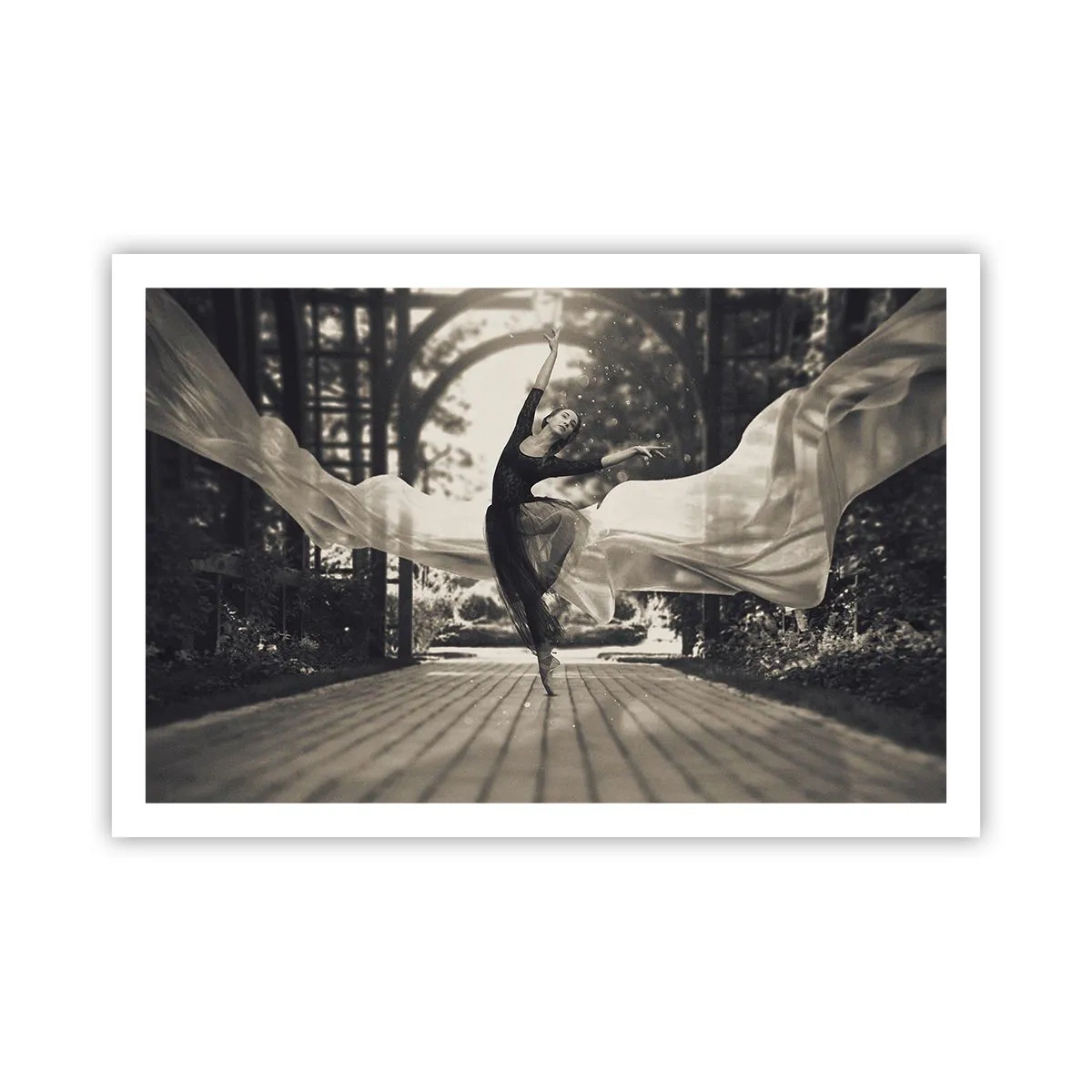Pôster - A dança do espírito do jardim - 91x61 cm