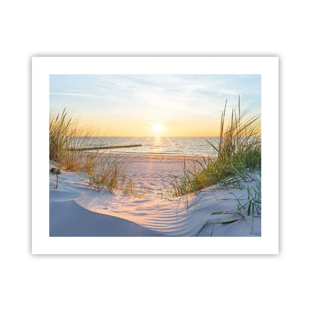 Pôster - O som do mar, o canto dos pássaros, a praia selvagem entre a relva... - 50x40 cm