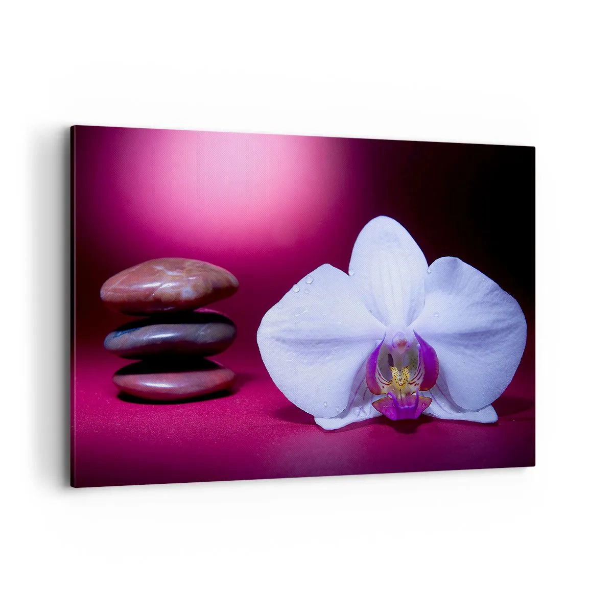 Quadro em tela - O estudo do frescor em roxo - 120x80 cm