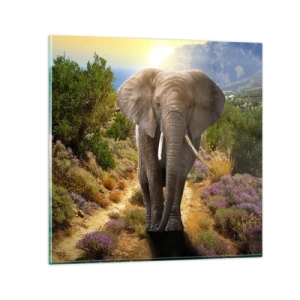 Quadro em vidro - Assim era o Éden - 30x30 cm