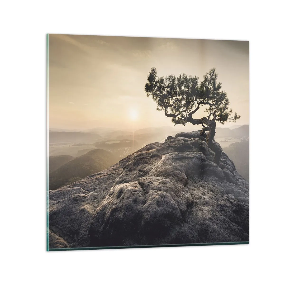 Quadro em vidro - A vida ganha sempre - 70x70 cm