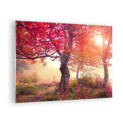 Quadro em vidro - Floresta de outono com raios de sol pela manhã - 70x50cm - Um frenesi de florescimento - Decoração de parede moderna para a sala de estar e quarto ARTTOR