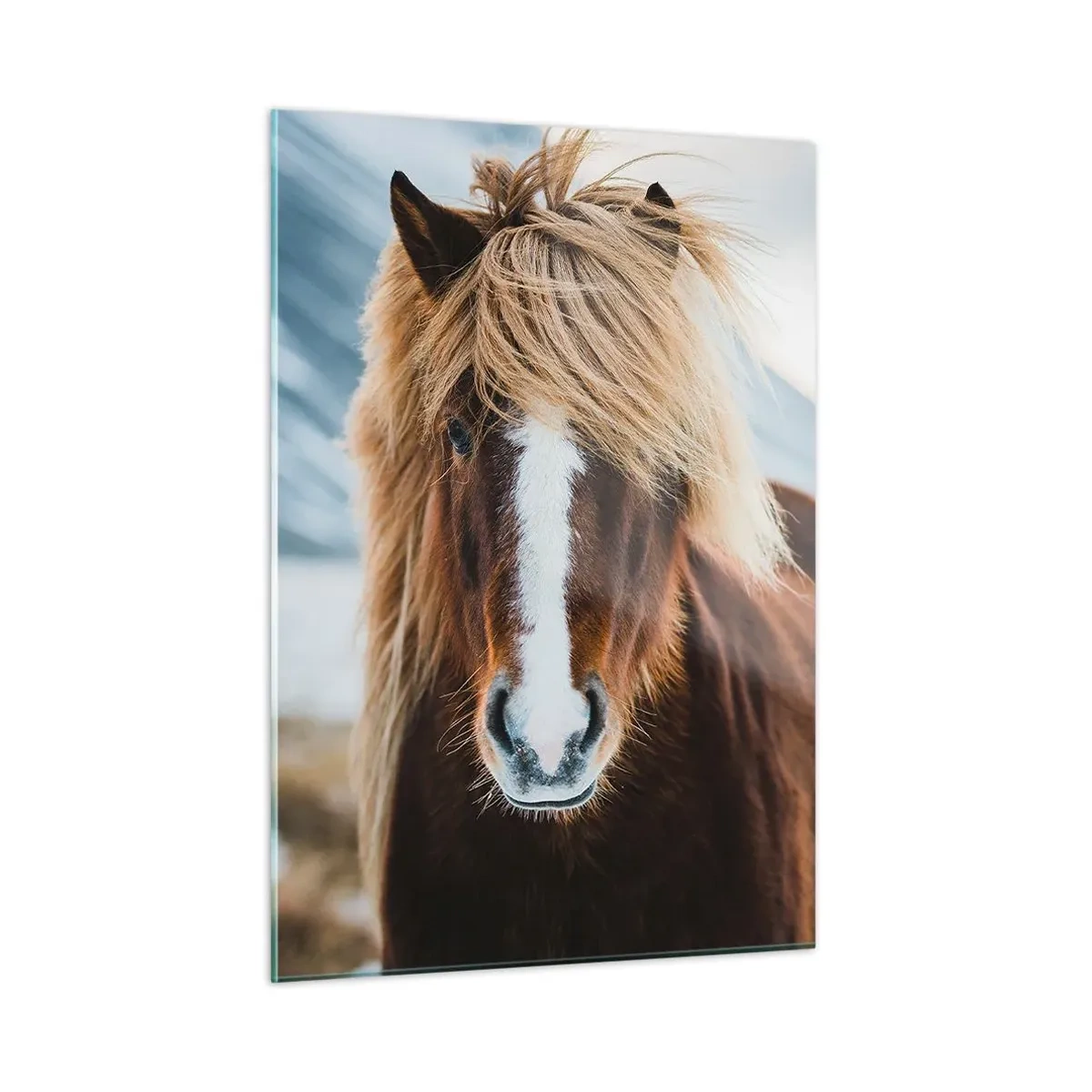 Quadro em vidro - Sentes a liberdade? - 50x70 cm