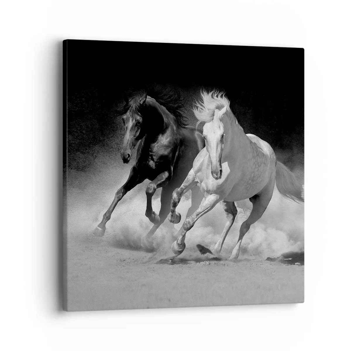 Quadro em tela - Galope da liberdade - 40x40 cm