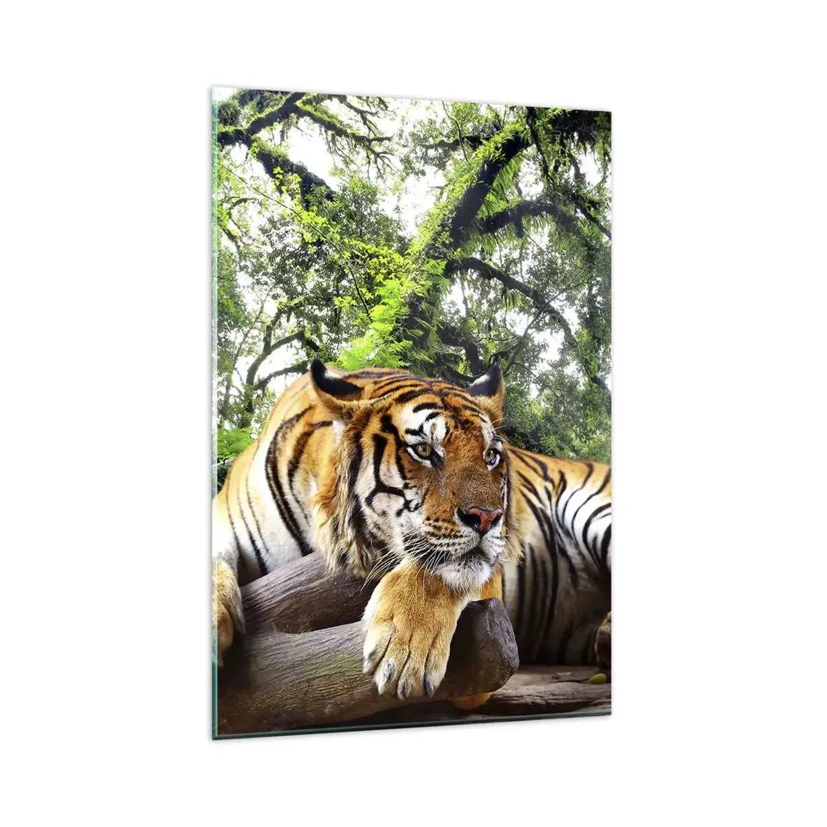 Quadro em vidro - Com os melhores cumprimentos - 80x120 cm