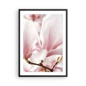 Pôster com moldura preta - Delicadas pétalas de magnólia rosa em um fundo desfocado - 50x70cm - Sensibilidade infinita - Decoração de parede moderna para a sala de estar e quarto ARTTOR