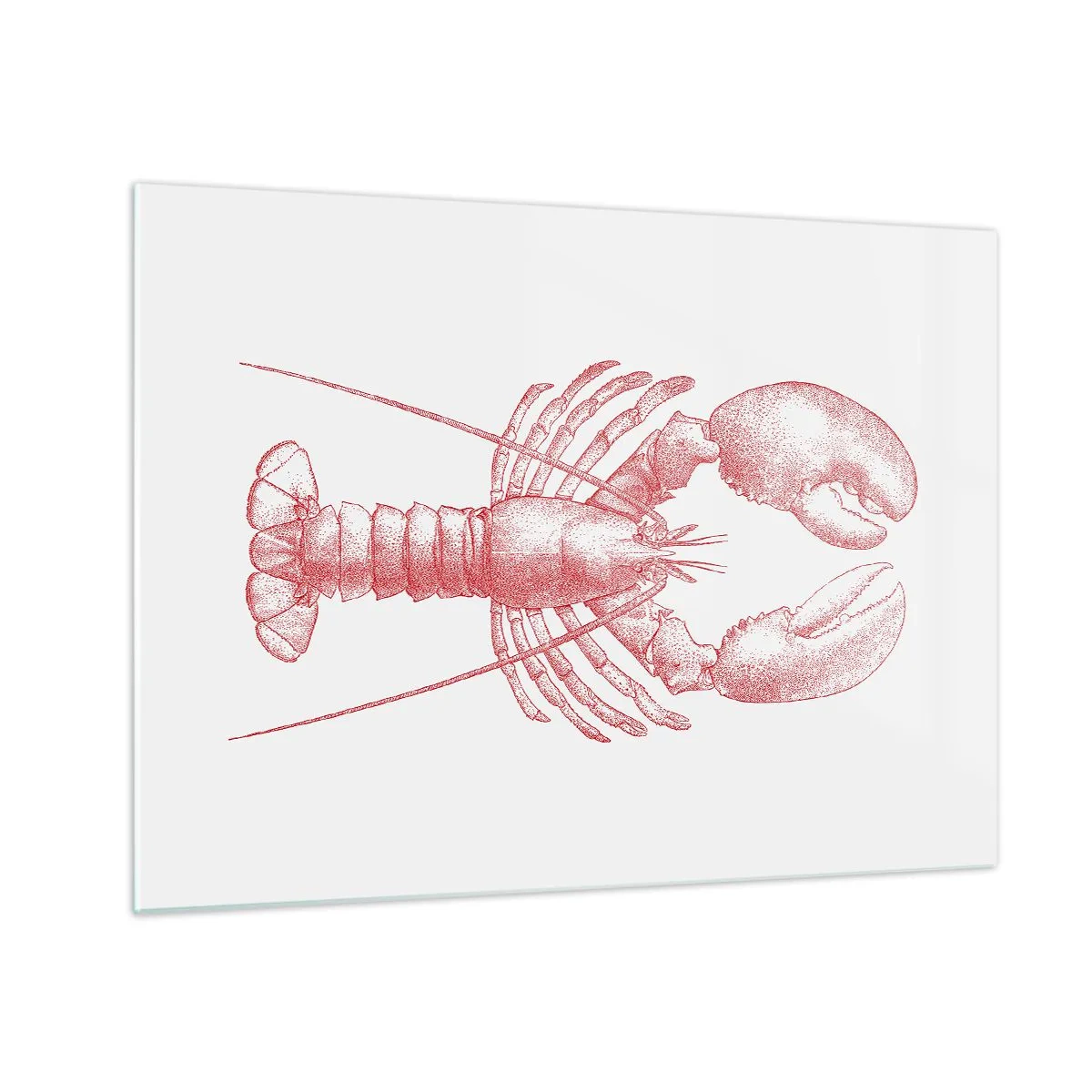 Quadro em vidro - Desenho de uma lagosta em vermelho sobre fundo claro - 70x50cm - Uma lagosta digna de Homero - Decoração de parede moderna para a sala de estar e quarto ARTTOR