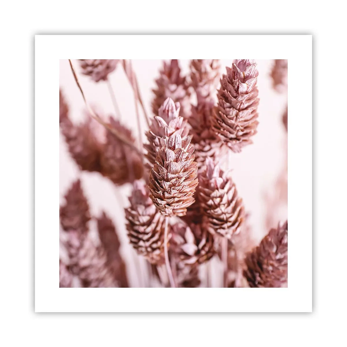 Pôster - Aparentemente discreto - 40x40 cm