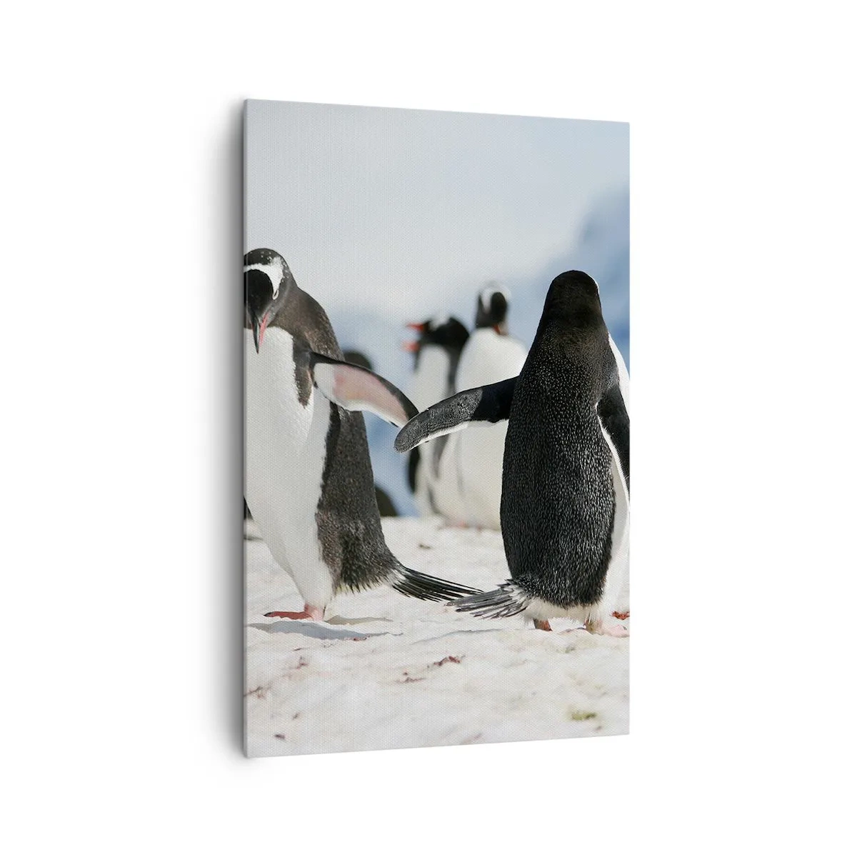 Quadro em tela - Dança na neve - 80x120 cm
