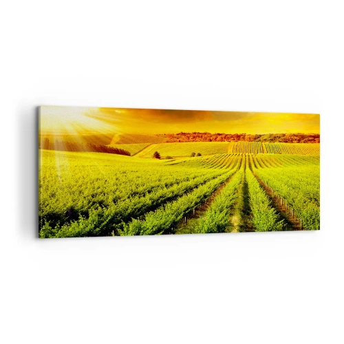 Quadro em tela - Sob o sol australiano - 100x40 cm