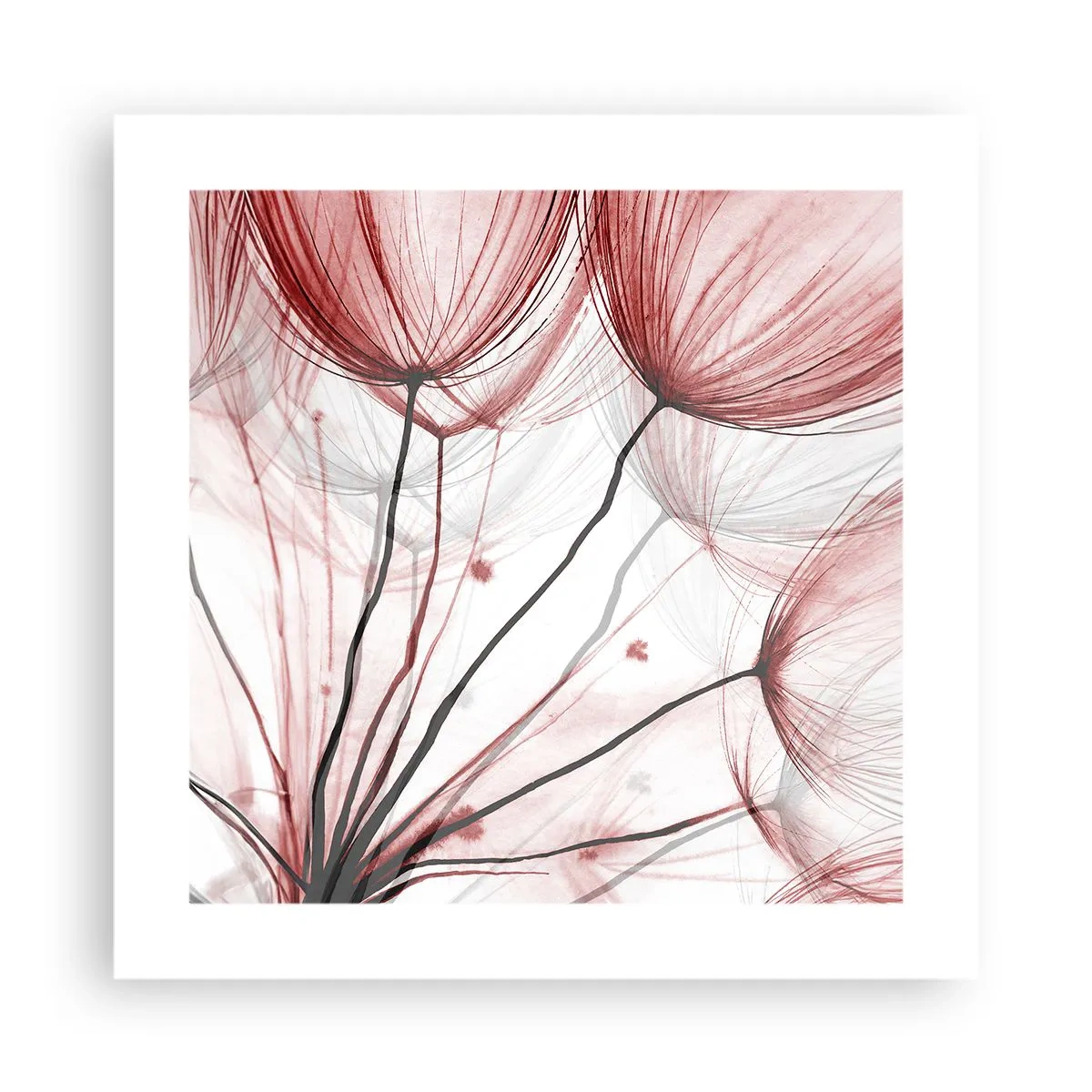 Pôster - Antes da partida - 40x40 cm