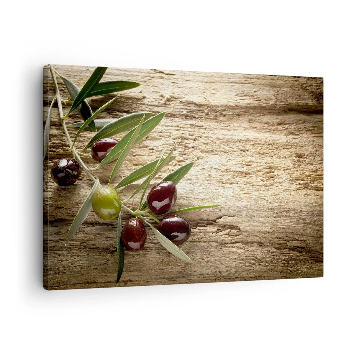 Quadro em tela - Ramo de oliveira com frutos sobre fundo de madeira envelhecida - 70x50cm - Direto da natureza - Decoração de parede moderna para a sala de estar e quarto ARTTOR