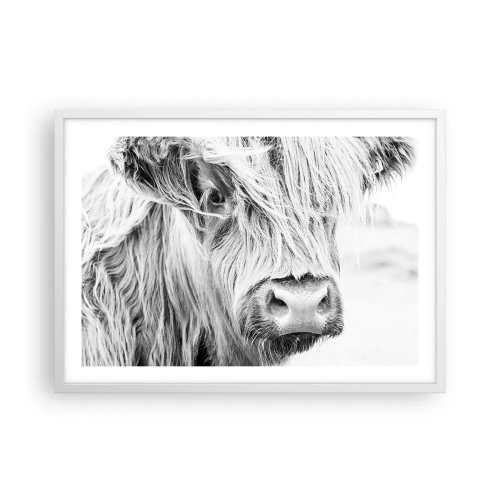 Pôster em moldura branca - Natureza selvagem escocesa - 70x50 cm