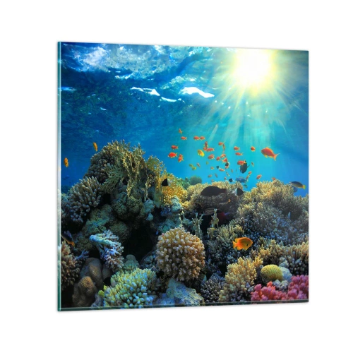 Quadro em vidro - Tesouros subaquáticos - 50x50 cm