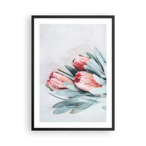 Pôster com moldura preta - Uma composição sutil de flores de protea sobre um fundo claro - 50x70cm - Envergonhadas da sua própria beleza - Decoração de parede moderna para a sala de estar e quarto ARTTOR
