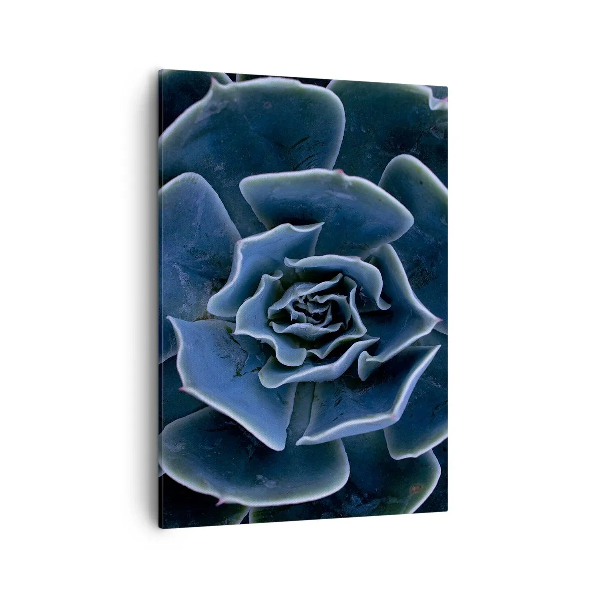 Quadro em tela - Flor do deserto - 50x70 cm