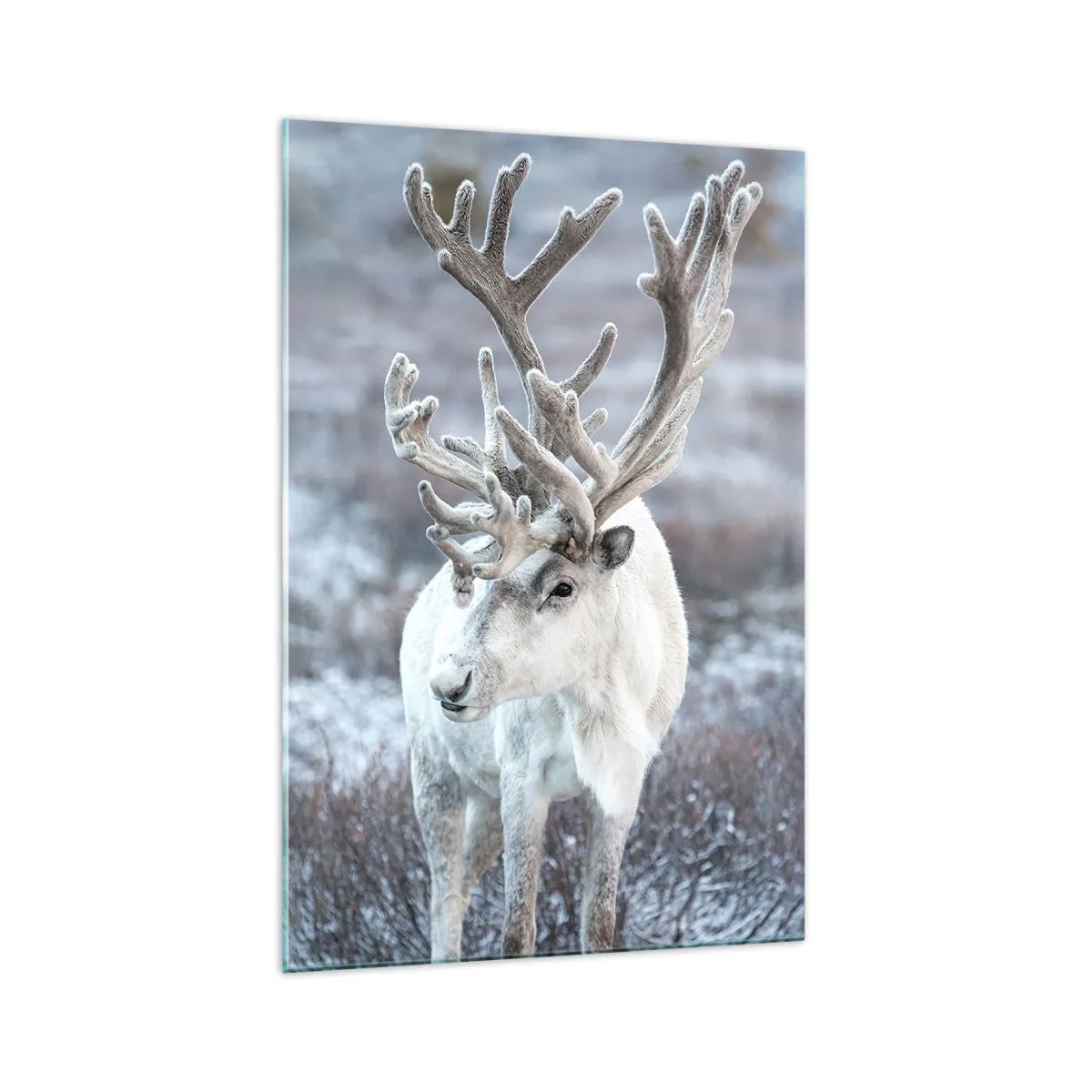 Quadro em vidro - Retrato ao sol - 70x100 cm