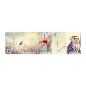 Amostra de papel de parede autocolante Deluxe Sticker - Retrato de um pássaro com um prado no fundo - Pássaro, Prado, Natureza - 100x30 cm