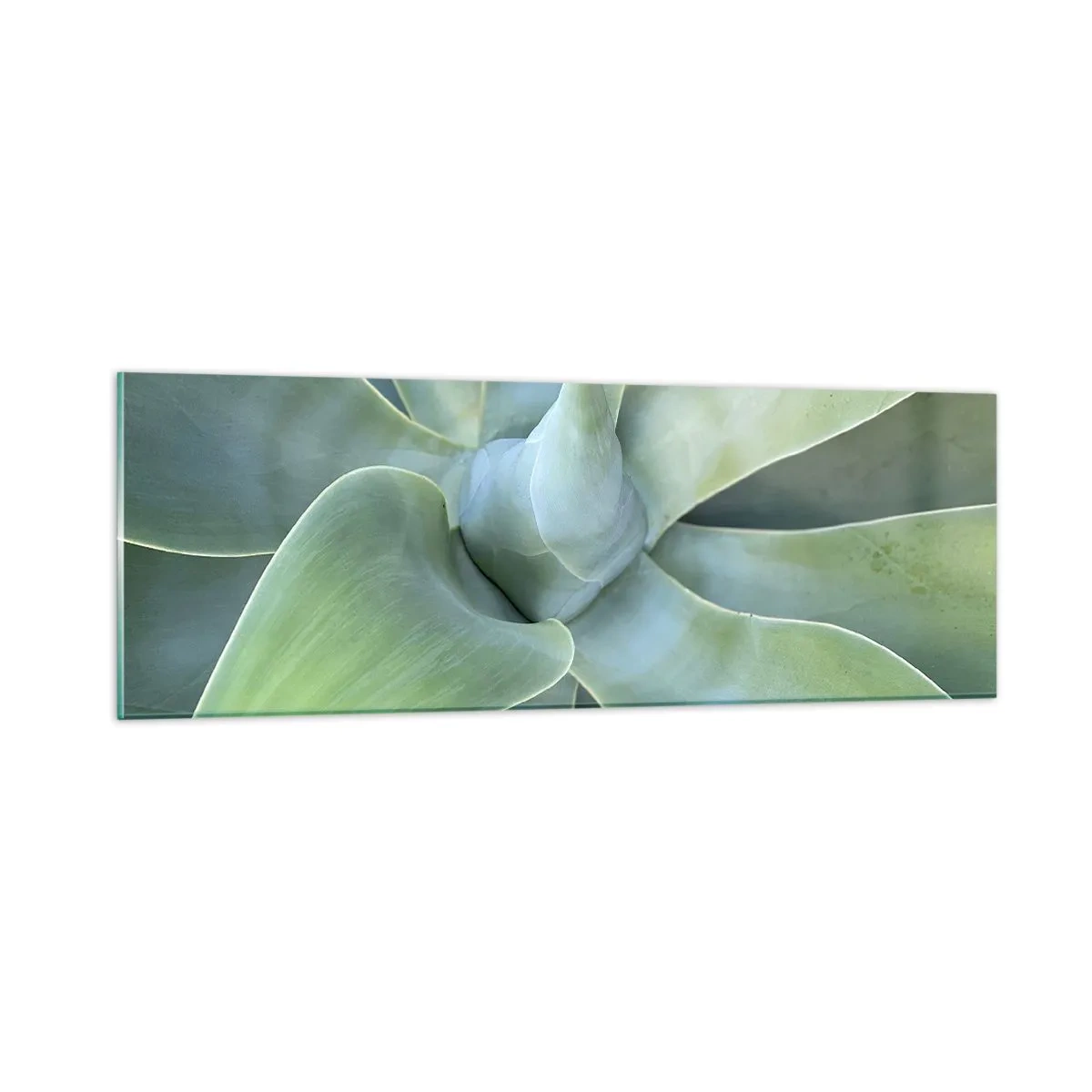 Quadro em vidro - O nascimento da vegetação - 90x30 cm