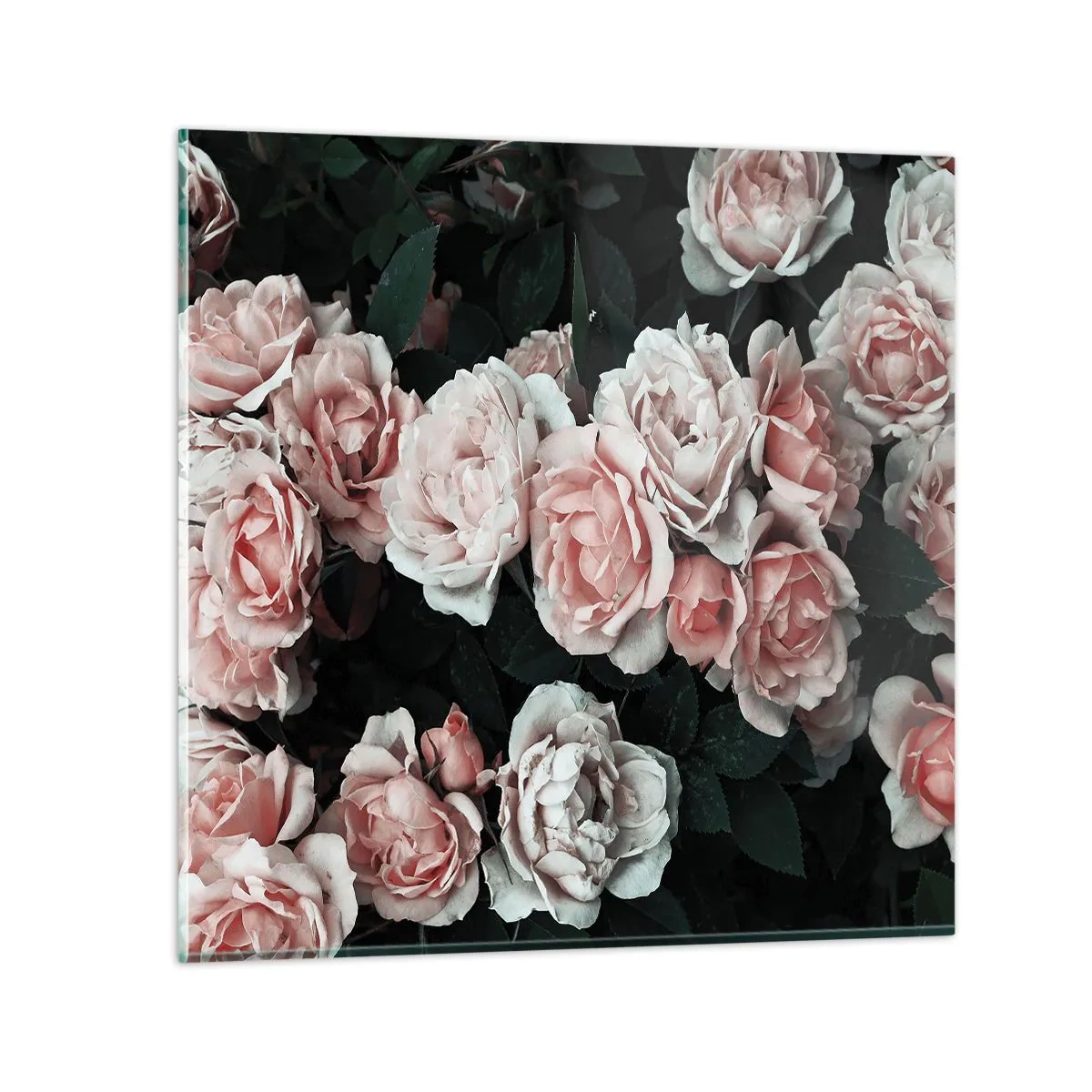 Quadro em vidro - Conjuntos de rosas - 70x70 cm