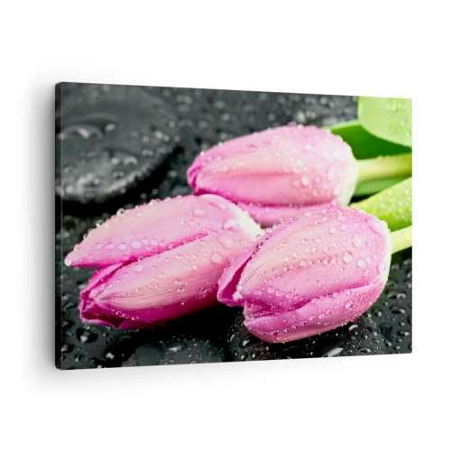 Quadro em tela - Três tulipas cor de rosa com gotas de água sobre um fundo preto - 70x50cm - Trio lilás três em pedra - Decoração de parede moderna para a sala de estar e quarto ARTTOR