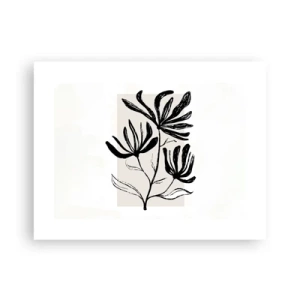 Pôster - Esboço para o herbário - 40x30 cm