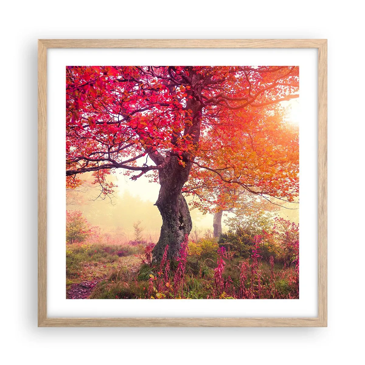 Pôster com moldura de carvalho claro - Um frenesi de florescimento - 50x50 cm
