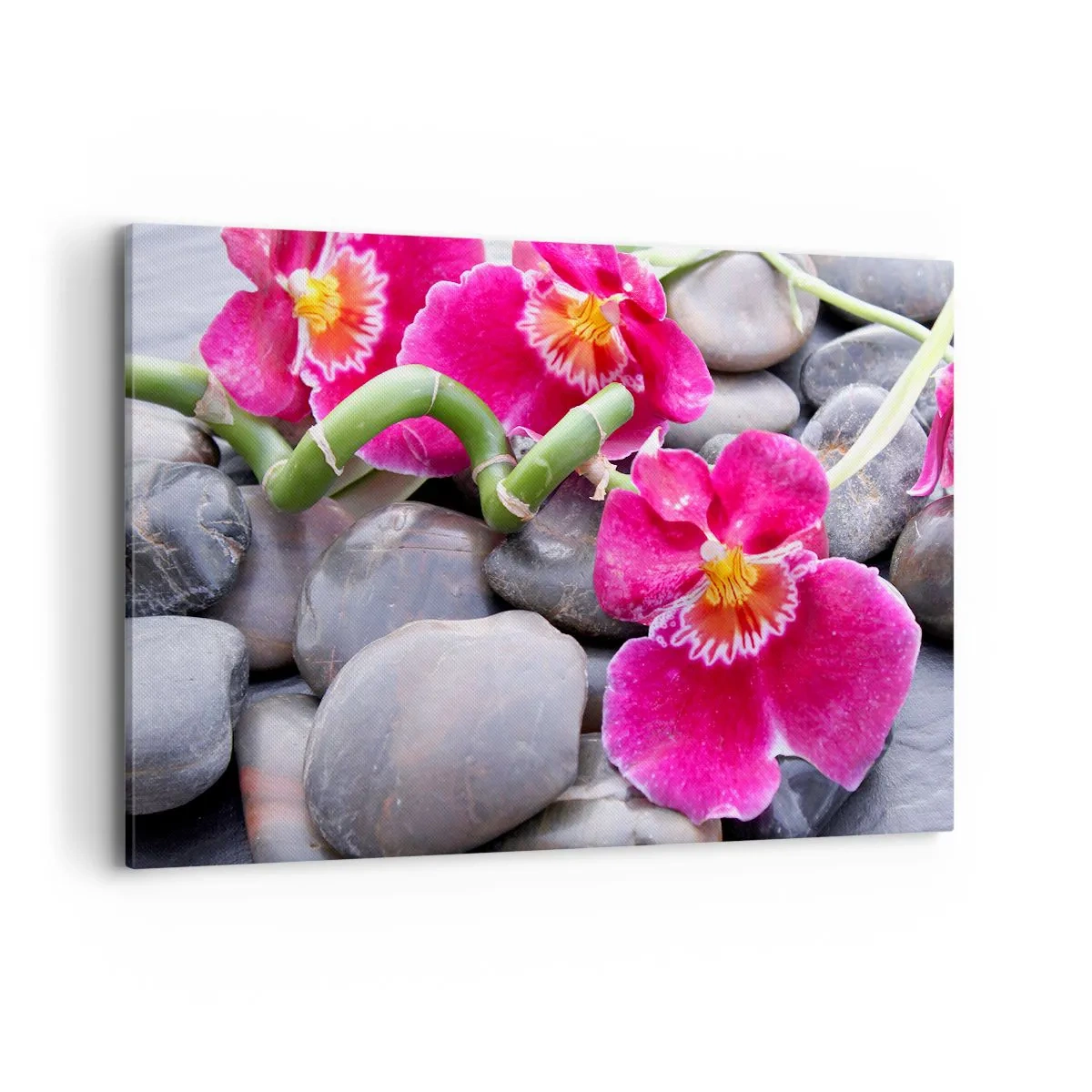 Quadro em tela - Frio e calor - 120x80 cm