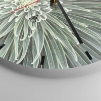 Mostrador com traços