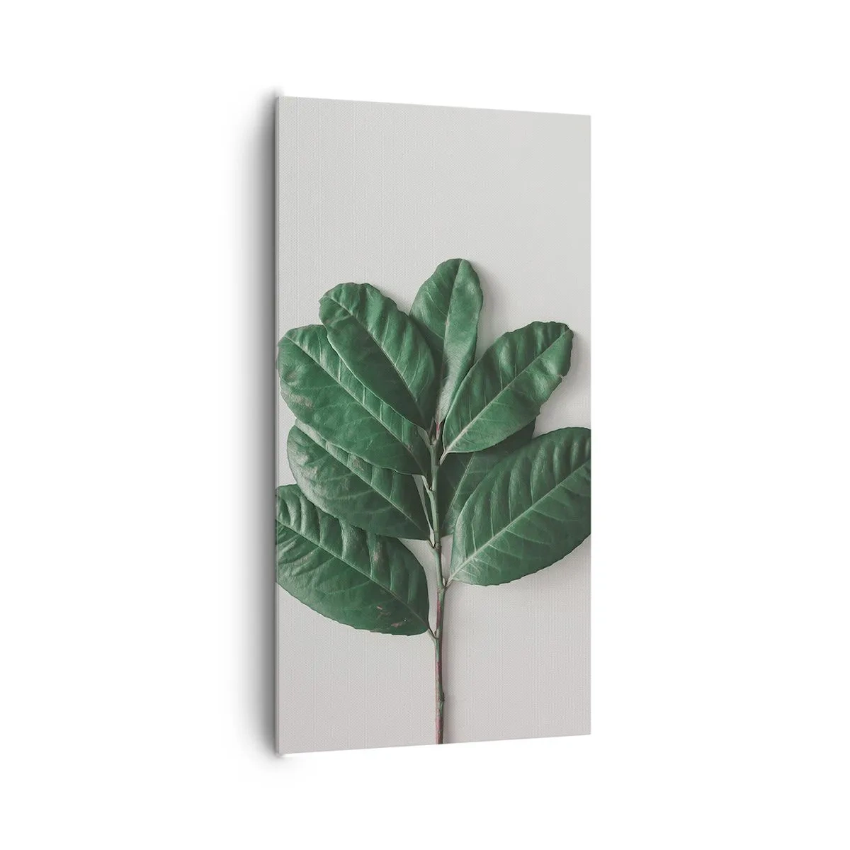 Quadro em tela - Desenho da própria natureza - 65x120 cm