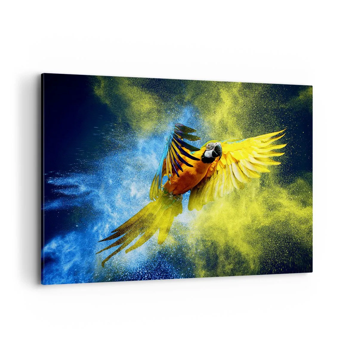 Quadro em tela - Em pó azul-dourado - 100x70 cm