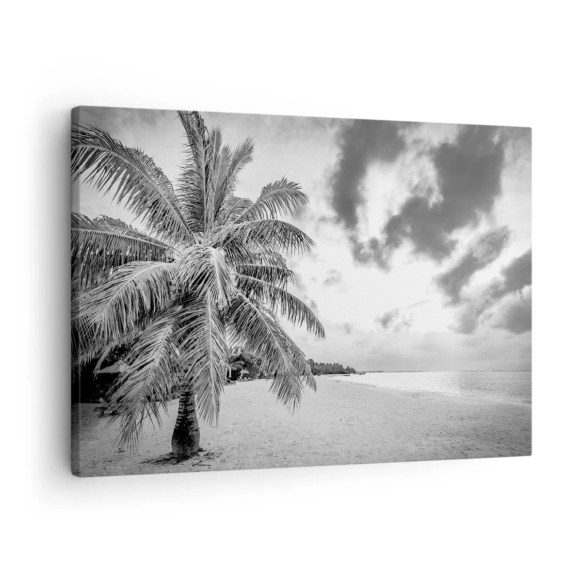 Quadro em tela - Palmeira preta e branca em uma praia vazia com nuvens - 70x50cm - Quando anseia por solidão... - Decoração de parede moderna para a sala de estar e quarto ARTTOR