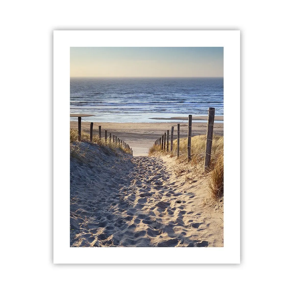 Pôster - O som do mar, o canto dos pássaros, a praia selvagem entre a relva... - 40x50 cm