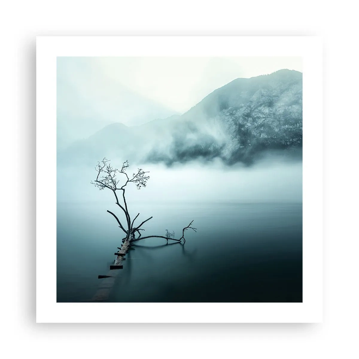 Pôster - Da água e da neblina - 50x50 cm
