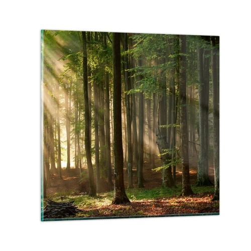Quadro em vidro - Radiante em uma manhã de primavera - 50x50 cm