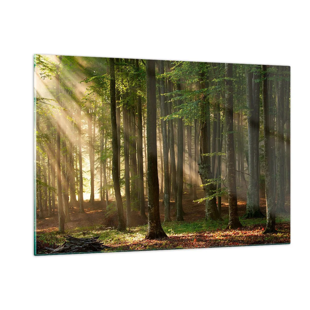 Quadro em vidro - Radiante em uma manhã de primavera - 120x80 cm