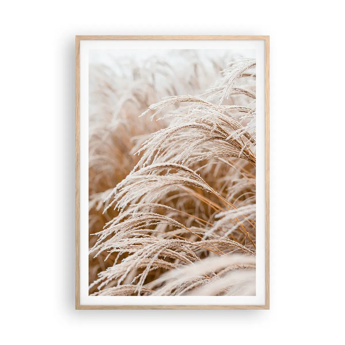 Pôster com moldura de carvalho claro - Curvar-se ao sol de outono - 70x100 cm