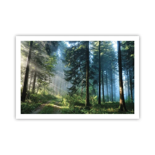 Pôster - Radiante de manhã - 91x61 cm