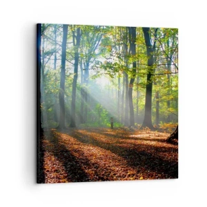 Quadro em tela - Luzes e sombras - 60x60 cm