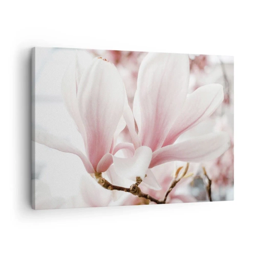 Quadro em tela - Delicadas flores de magnólia em tons pastéis - 70x50cm - Sensibilidade infinita - Decoração de parede moderna para a sala de estar e quarto ARTTOR