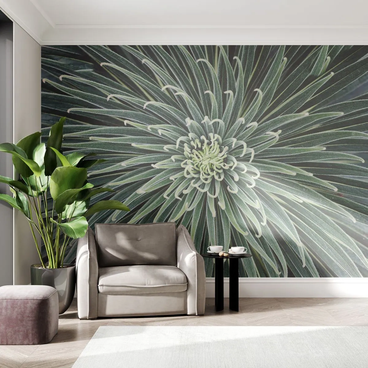 Papel de Parede Standard Eco - Nasce uma estrela - Flor de agave, Agave, Flores - 250x175 cm
