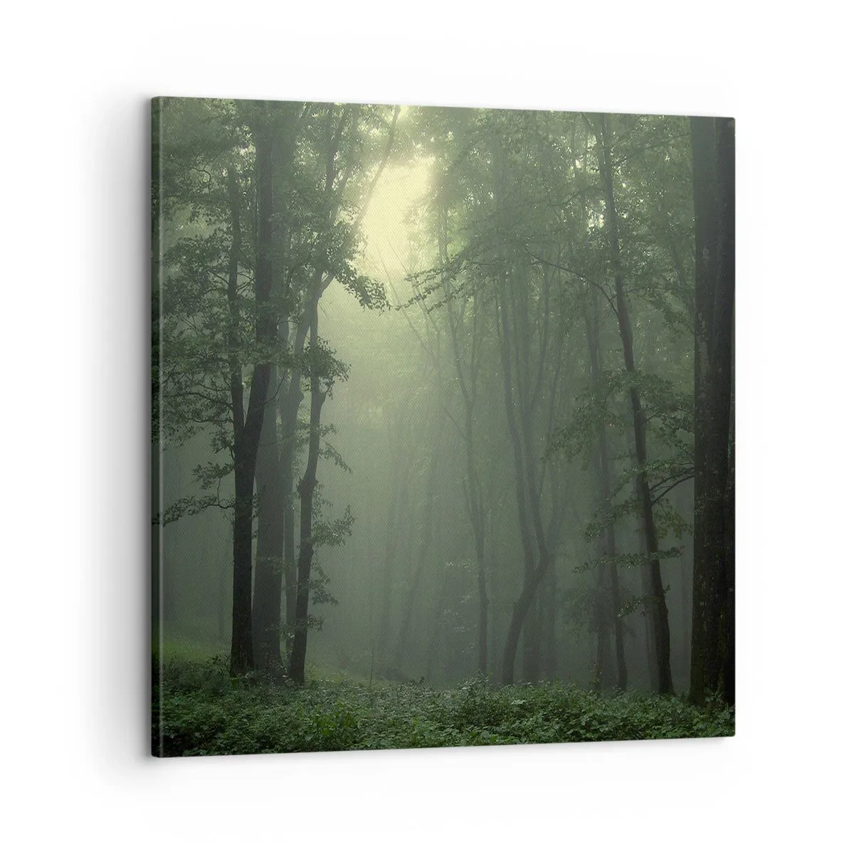 Quadro em tela - Antes de acordar - 60x60 cm