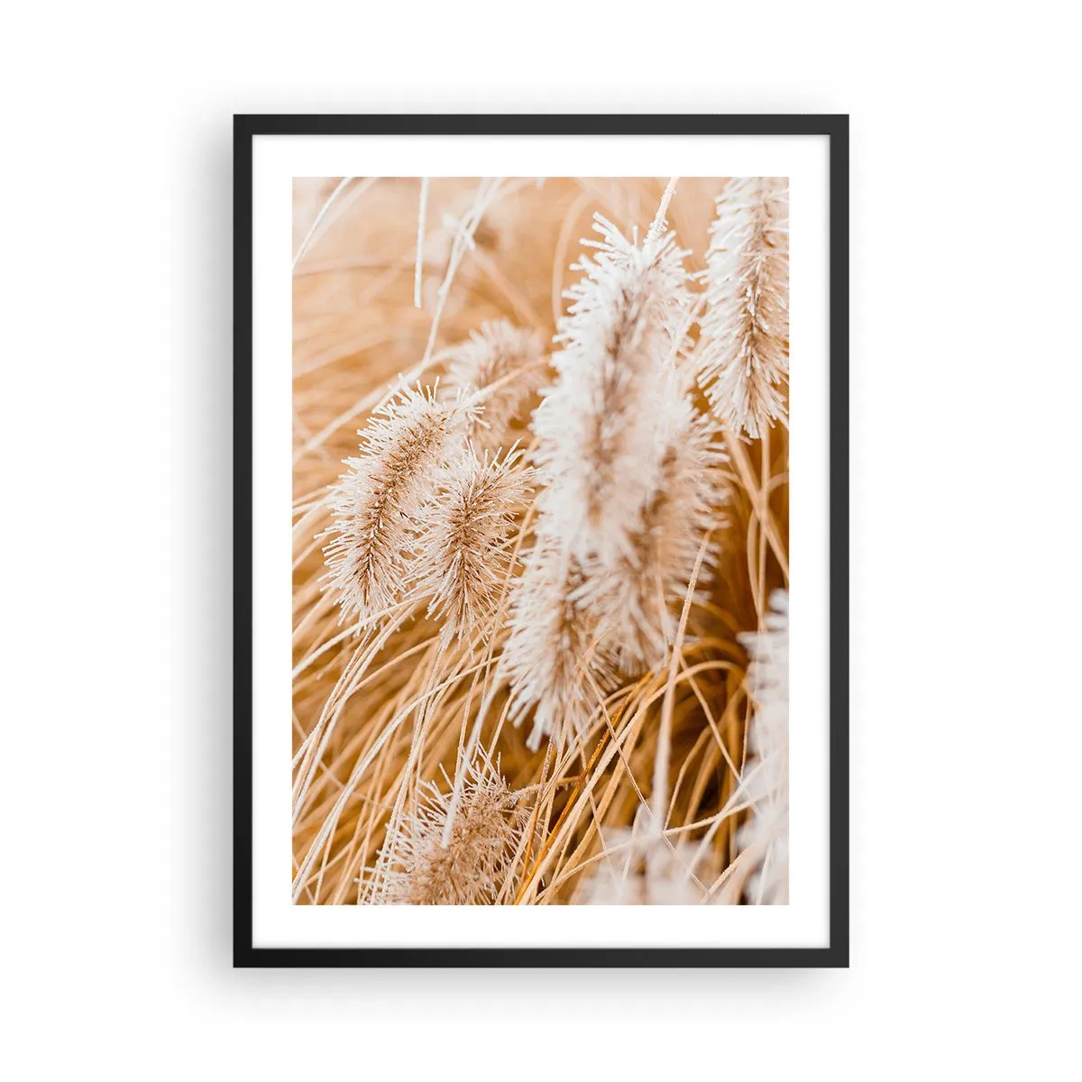 Pôster com moldura preta - Delicadas pontas de grama em tons pastéis de bege - 50x70cm - O murmúrio dourado das plantas - Decoração de parede moderna para a sala de estar e quarto ARTTOR