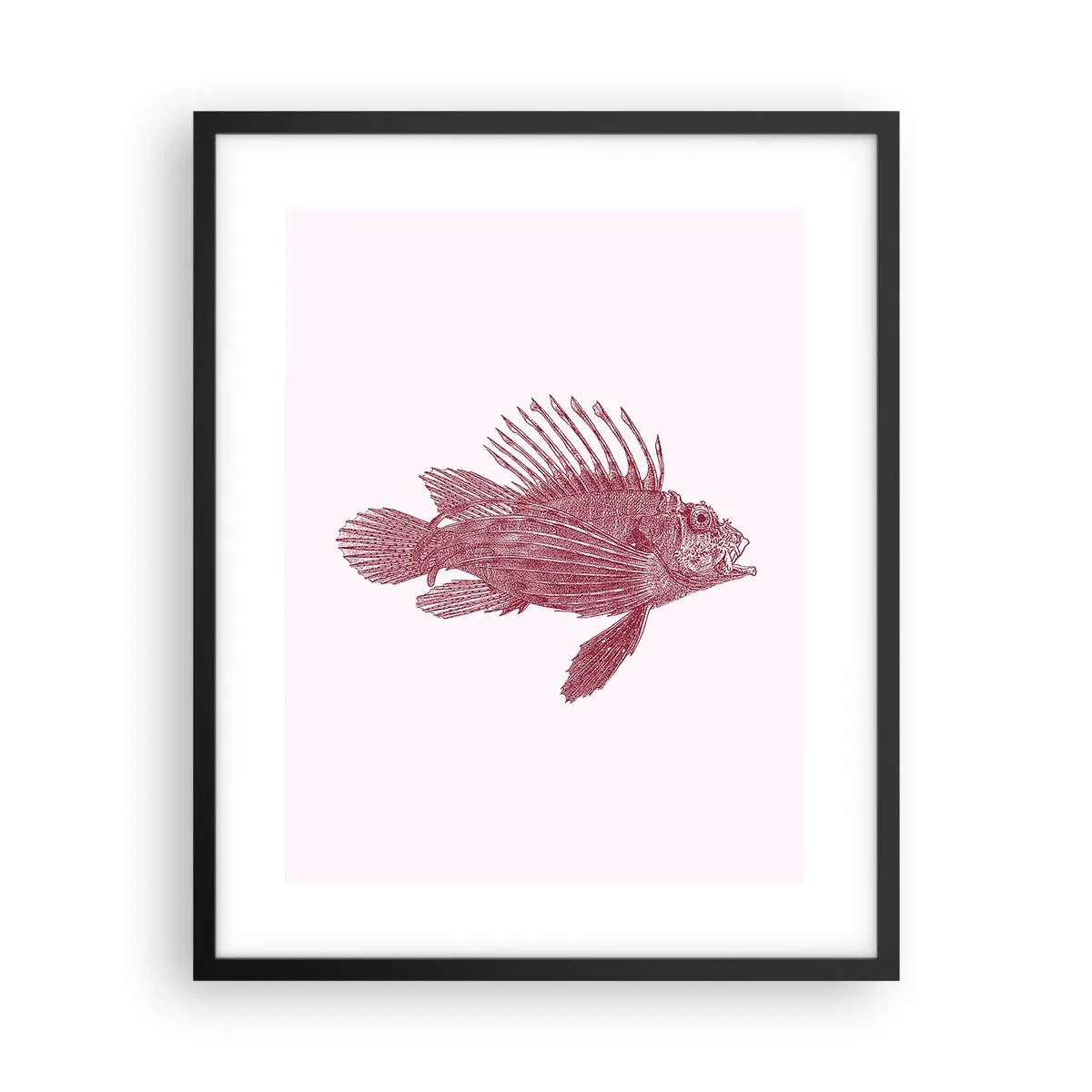 Pôster com moldura preta - Um habitante de águas exóticas - 40x50 cm